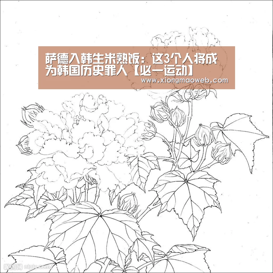 萨德入韩生米熟饭：这3个人将成为韩国历史罪人【必一运动】(图2)